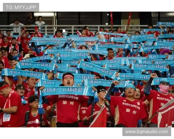 球迷文化展示不同国家的加油声